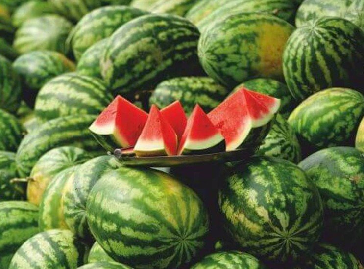 Patilla Pareja